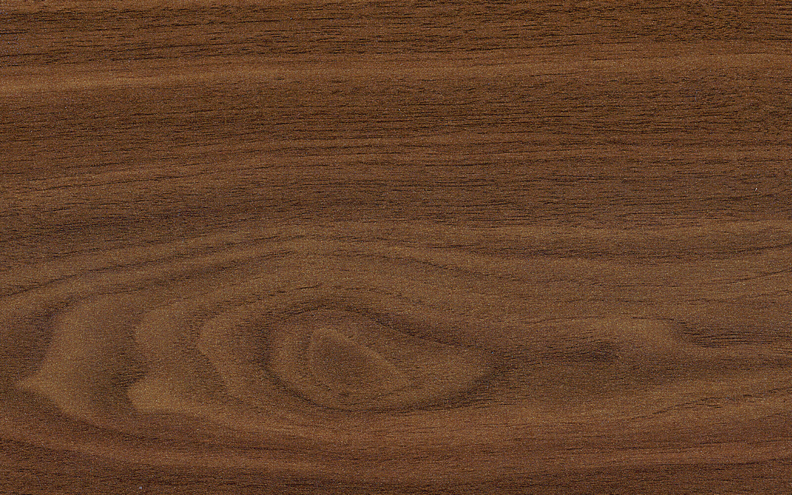 Cairo Walnut