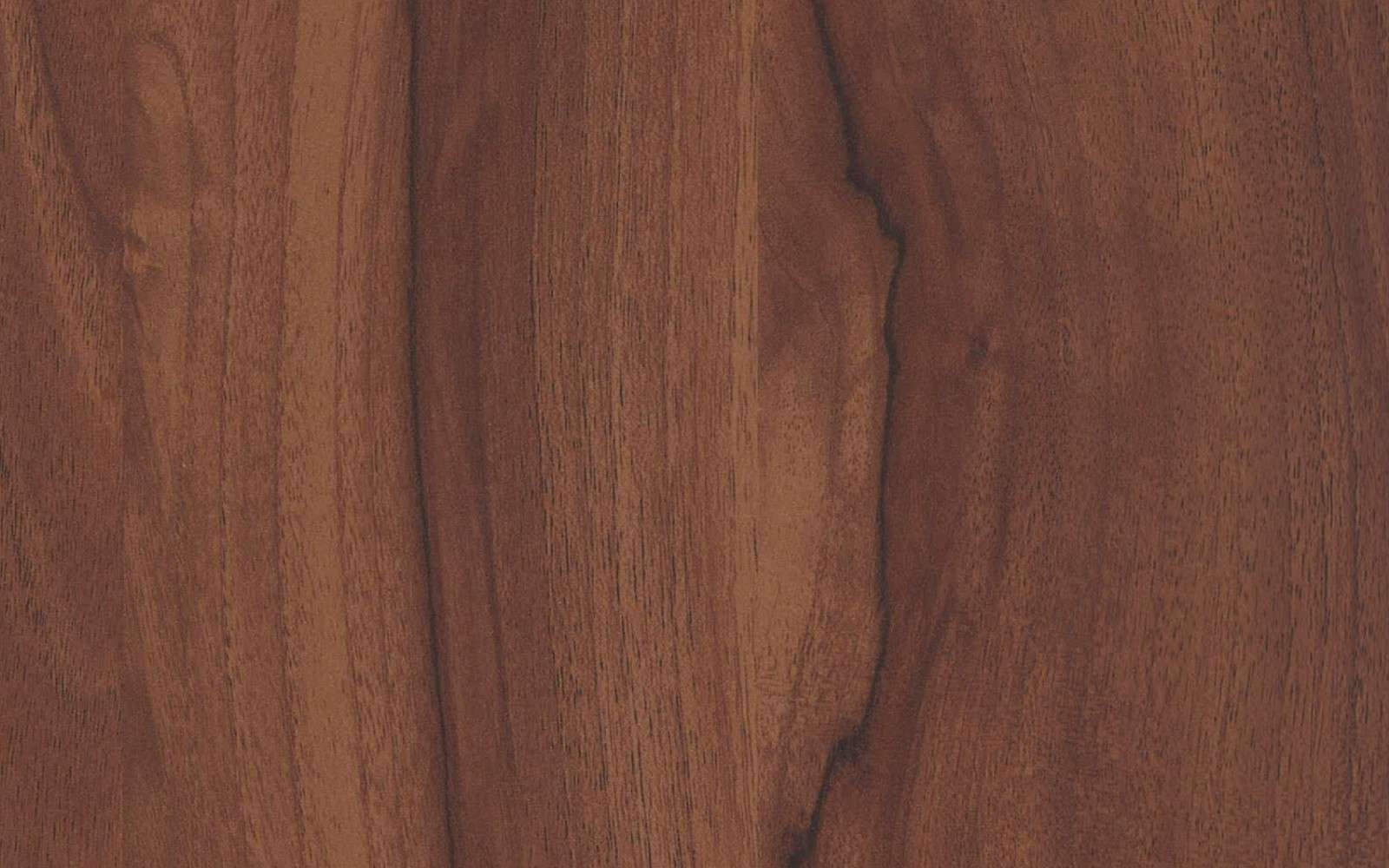 Asian Walnut 